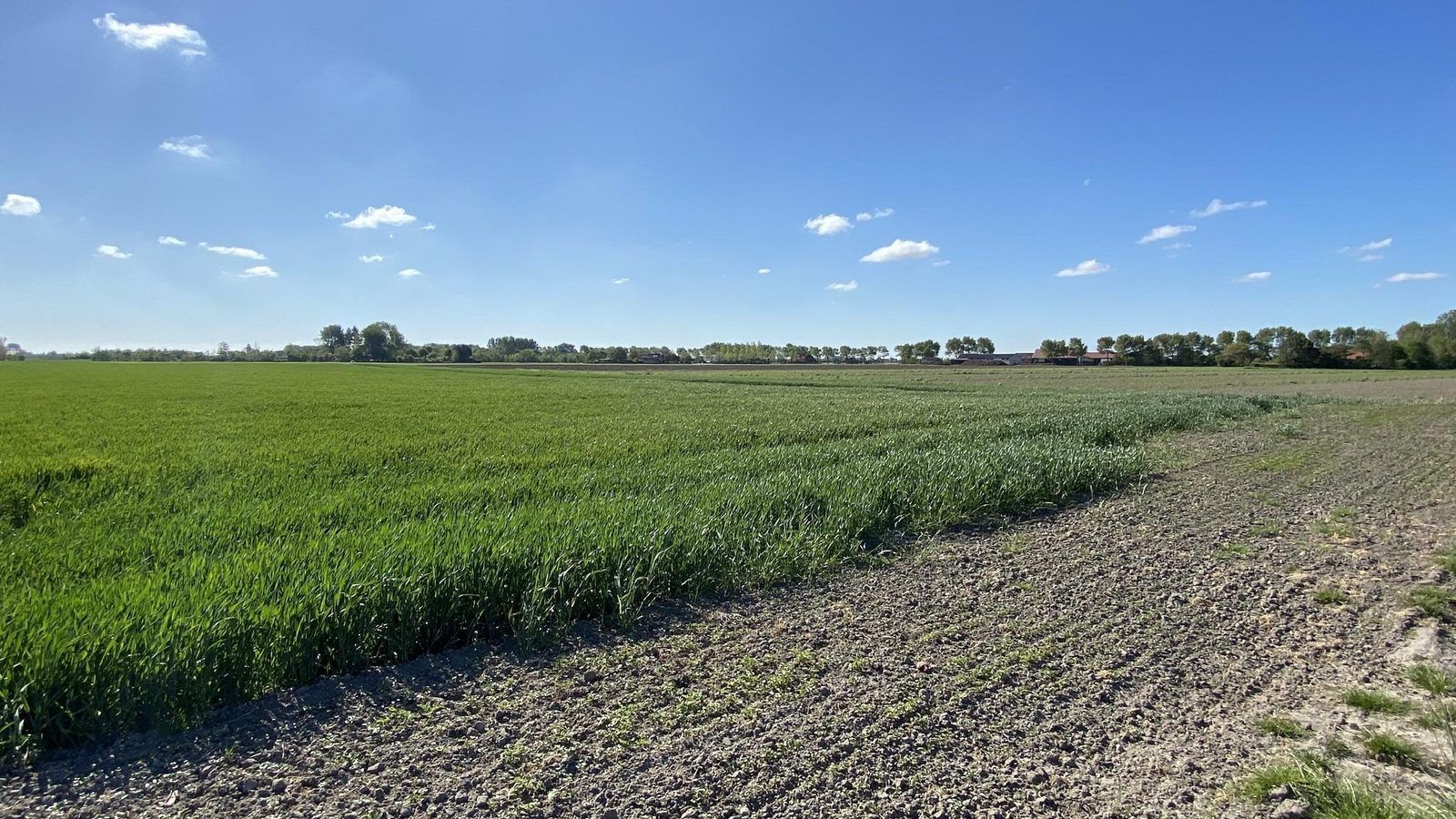 Blick ueber die Felder bei VZ587 Ferienhaus Vrouwenpolder, Zeeland.