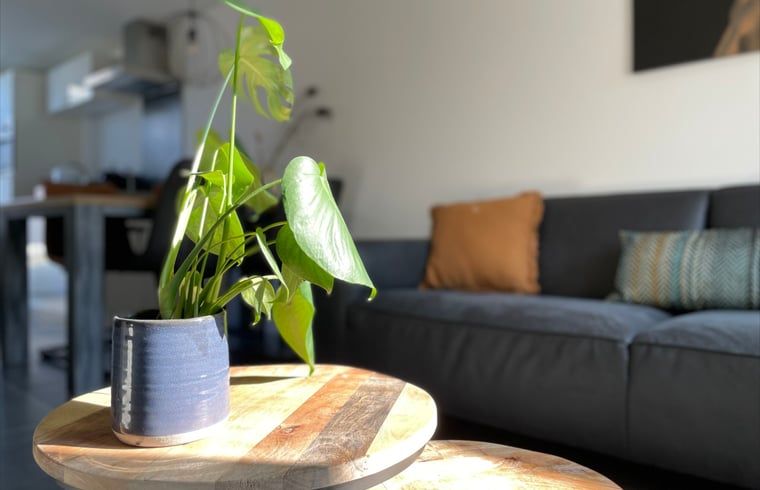 Gezellige woonkamer van Huisje in Veere, vakantiehuis in Walcheren, Zeeland met stijlvolle inrichting.