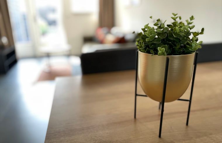 Detail van de interieurdecoratie in Huisje in Veere, vakantiehuis in Walcheren, Zeeland met moderne planten.