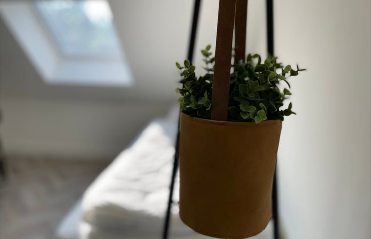 Moderne slaapkamerdecoratie in Huisje in Veere, vakantiehuis in Walcheren, Zeeland met hangende plant.