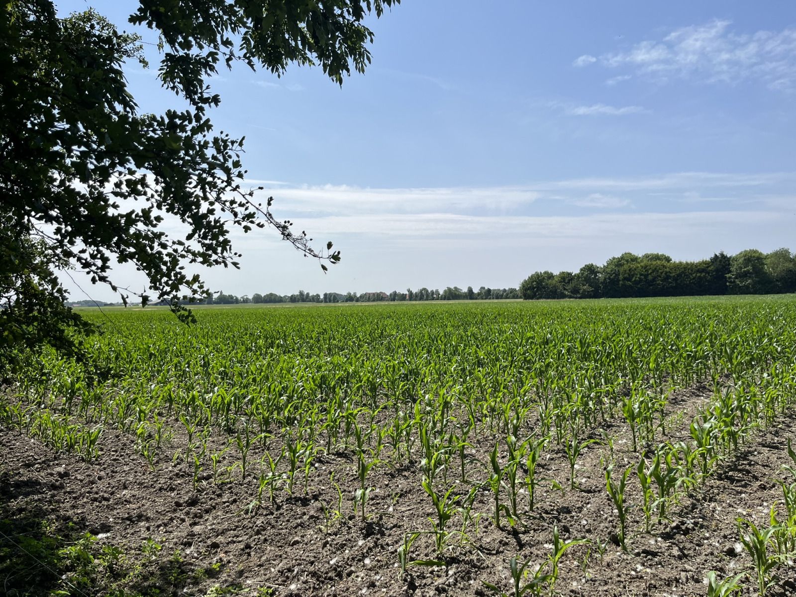 Verblijf 621042 - Vakantiewoning Walcheren - ZE120