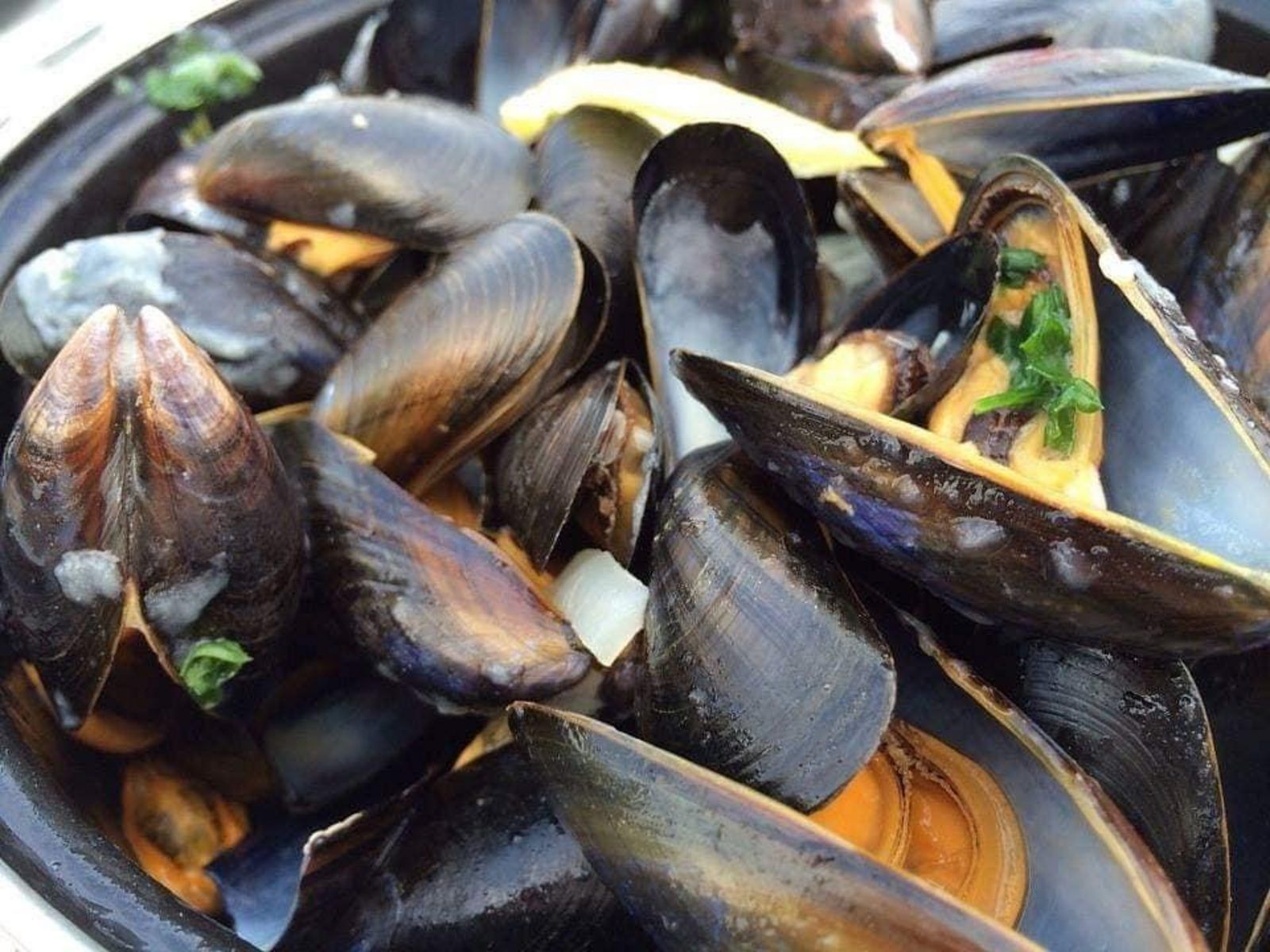 Fresh Zeeland mussels, a local delicacy at VZ824 Chalet in Veere, Serooskerke, Walcheren.