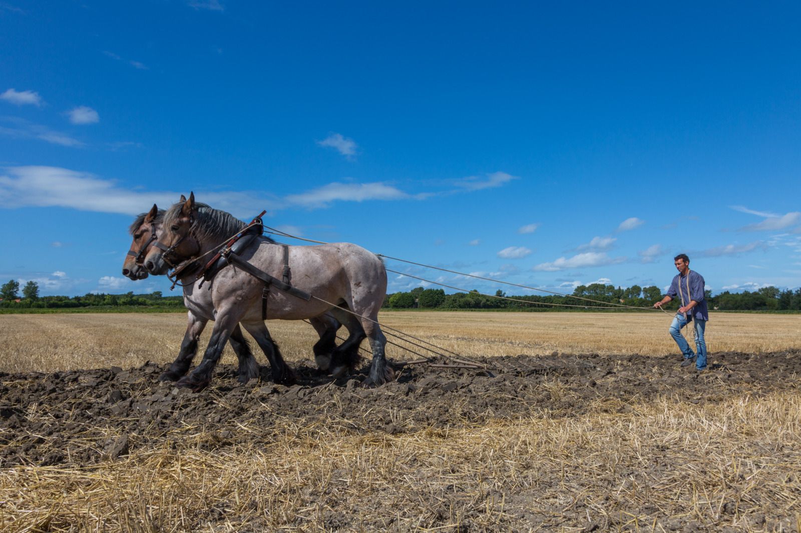 Verblijf 621135 - Vakantiewoning Walcheren - ZE354