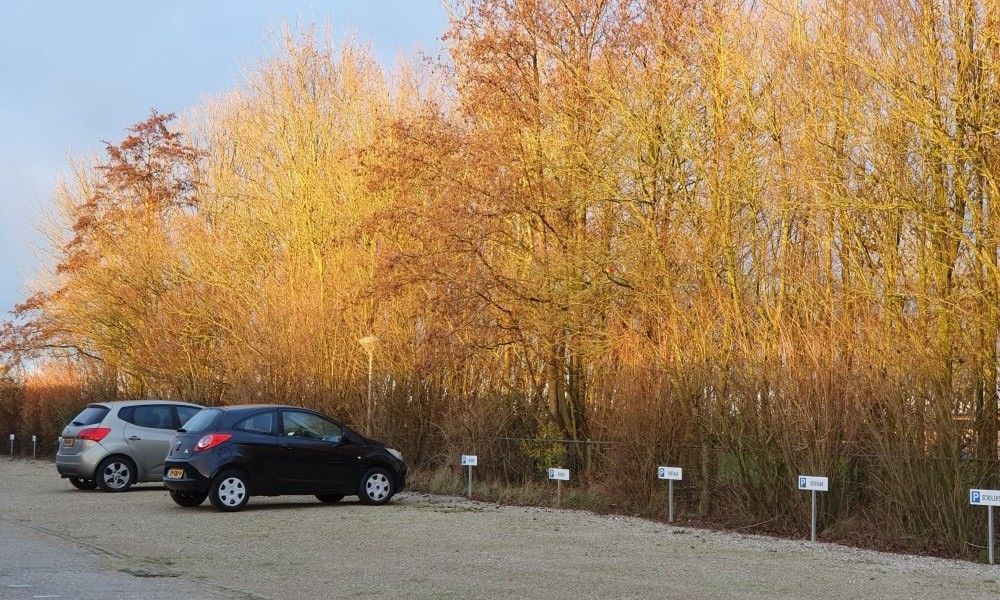 Unterkunft 621155 - Ferienhaus Walcheren - DE ZON IN STEE AAN ZEE, bij strand.
