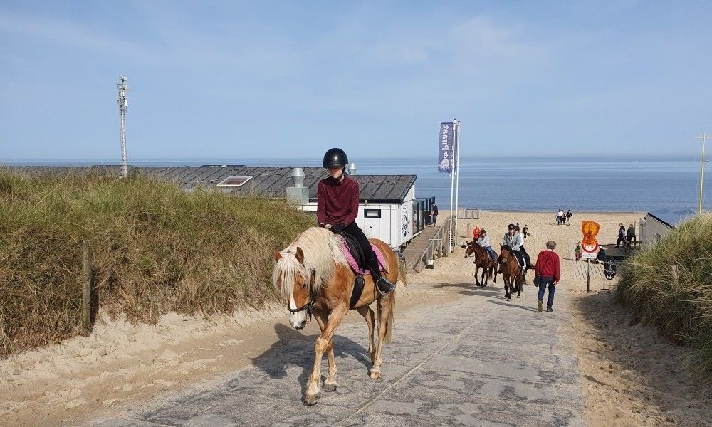 Unterkunft 621155 - Ferienhaus Walcheren - DE ZON IN STEE AAN ZEE, bij strand.