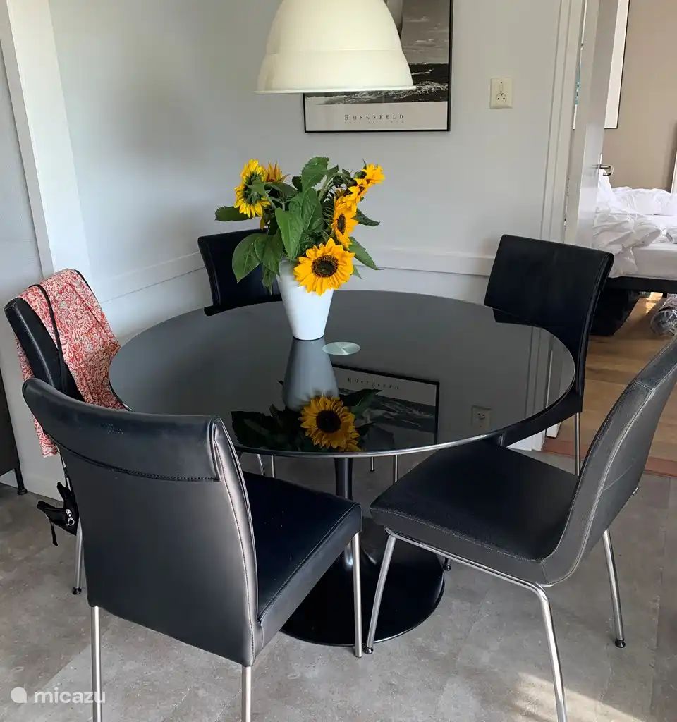 Guest house 621212 - Apartment Walcheren - Dishoek
