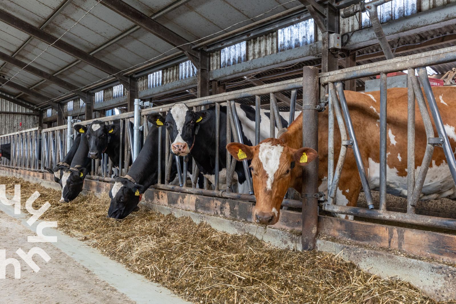 Luchtfoto van vakantiepark ZE1265 in Meliskerke, Walcheren, omgeven door velden.