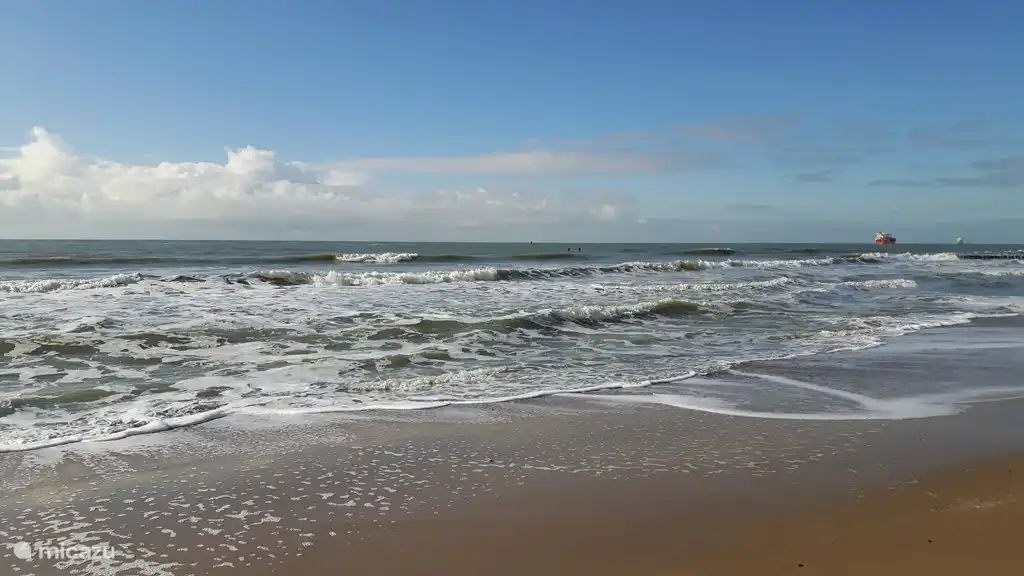 Guest house 621630 - Holiday property Walcheren - De Tollenaer