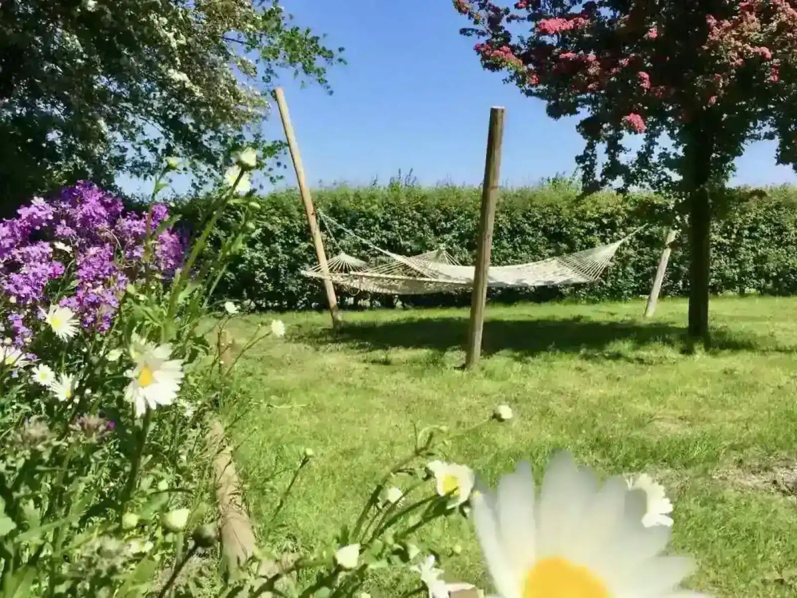 Unterkunft 622417 - Ferienhaus Walcheren - ZE127