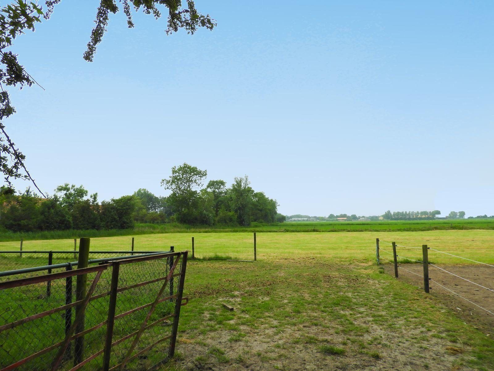 Blick auf Wiesen von VZ494 Ferienhaus Grijpskerke, Walcheren, Zeeland.