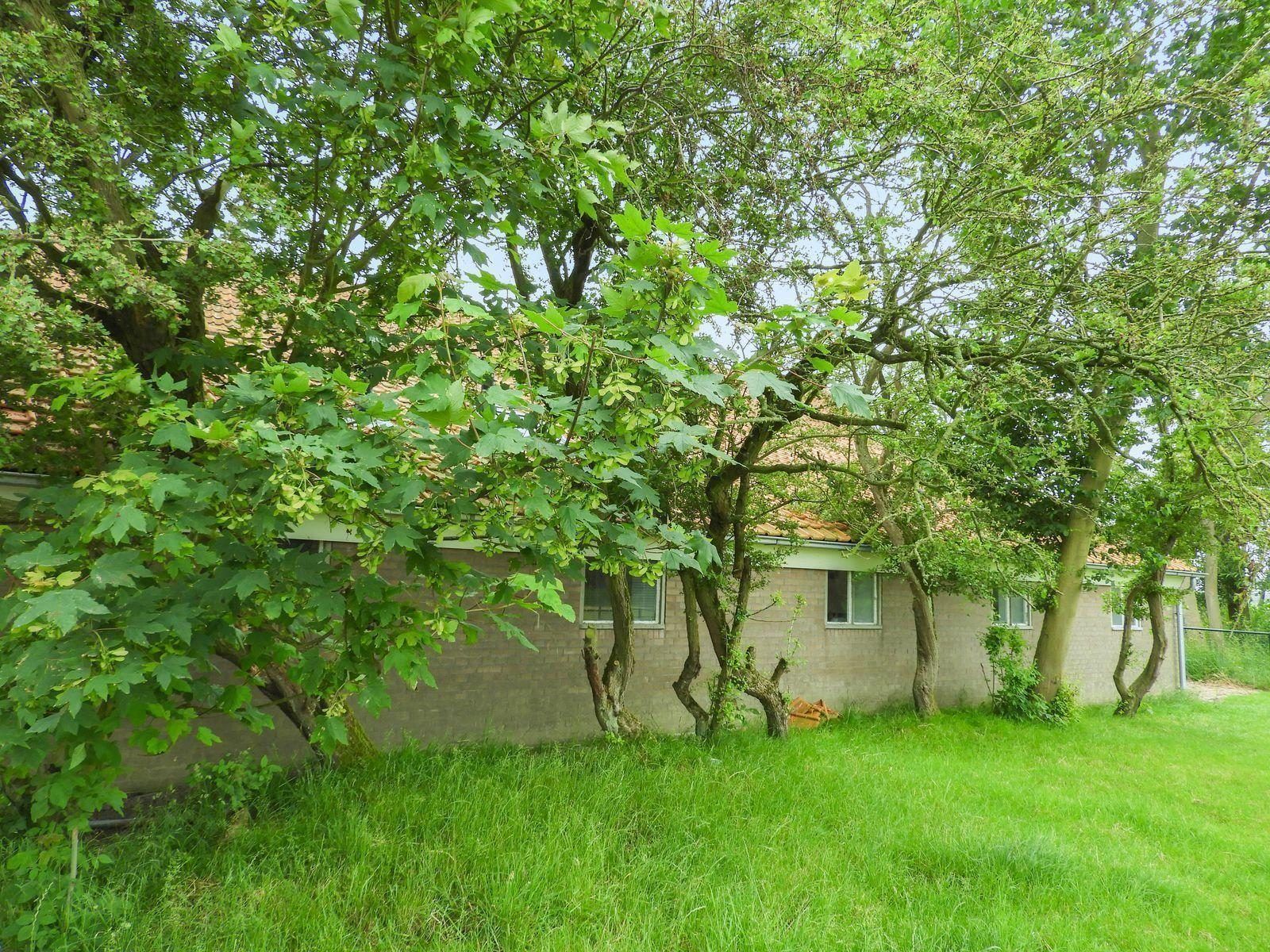 Gruene Umgebung bei VZ494 Ferienhaus Grijpskerke, Walcheren, Zeeland.