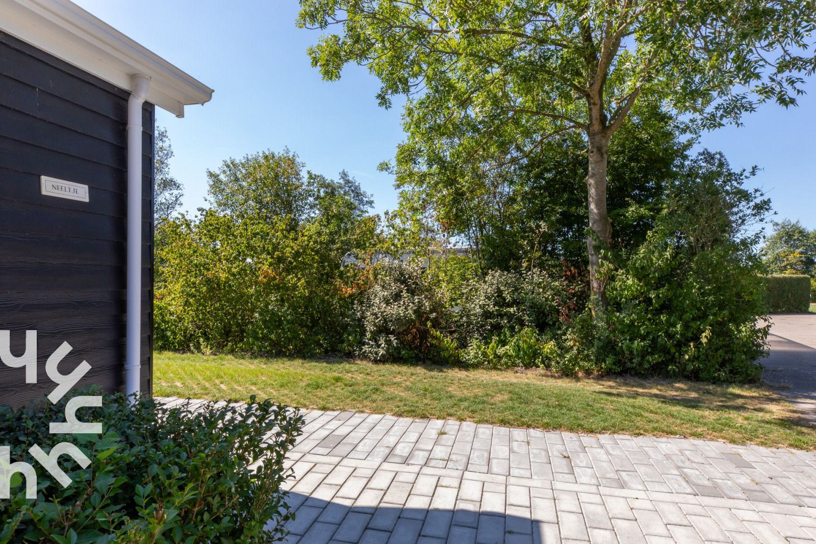 Konijnen in de omgeving van vakantiehuis ZE1470 in Grijpskerke, Walcheren, Zeeland.