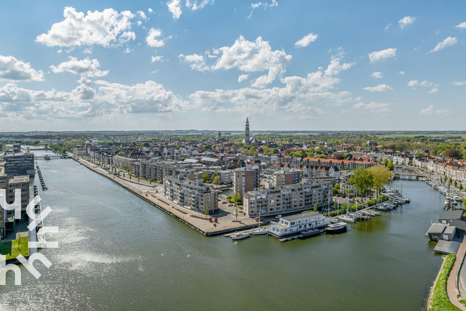 Koeien in de velden nabij vakantiehuis ZE1470 in Grijpskerke, Walcheren, Zeeland.
