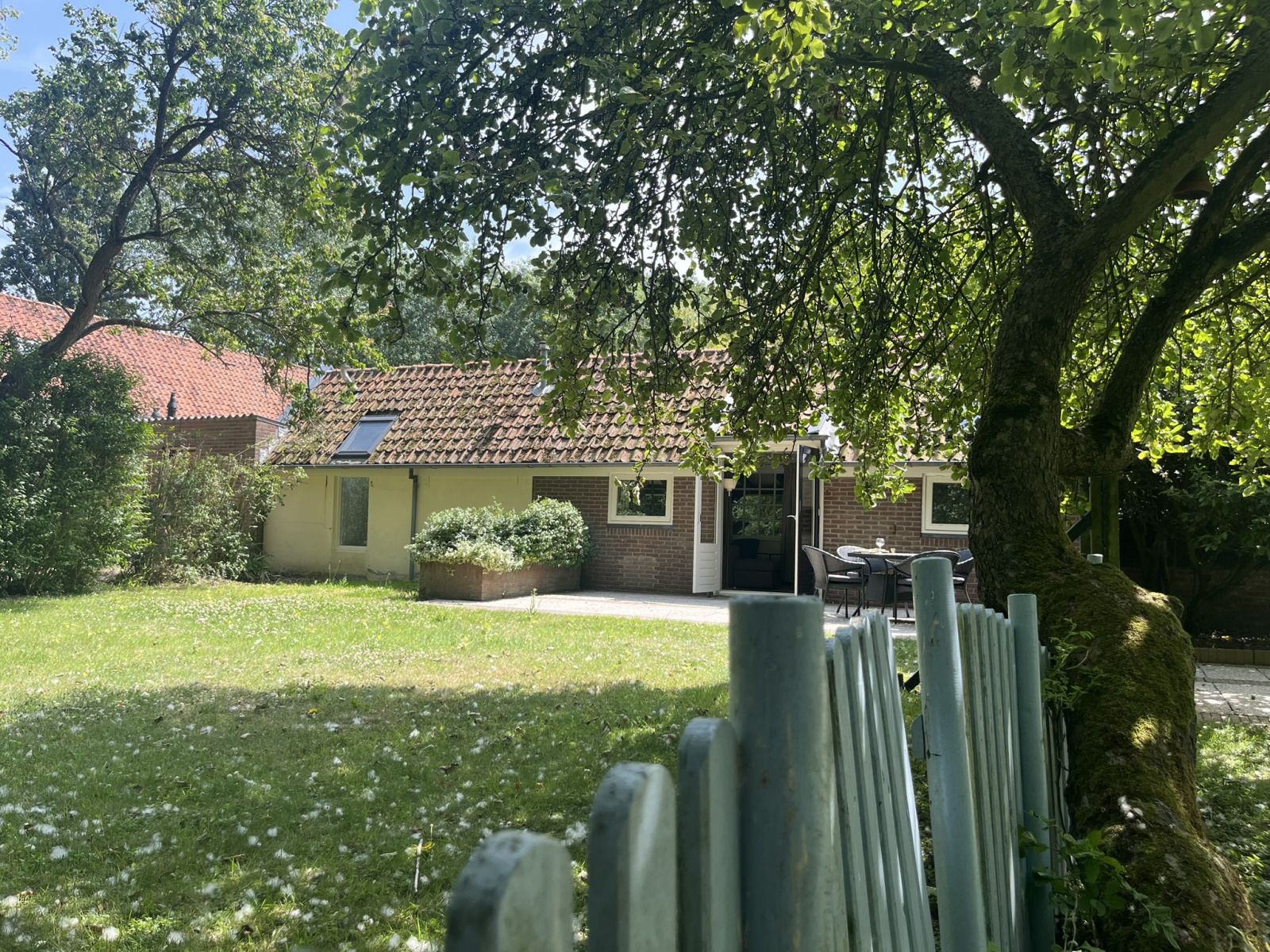 Bild 11
