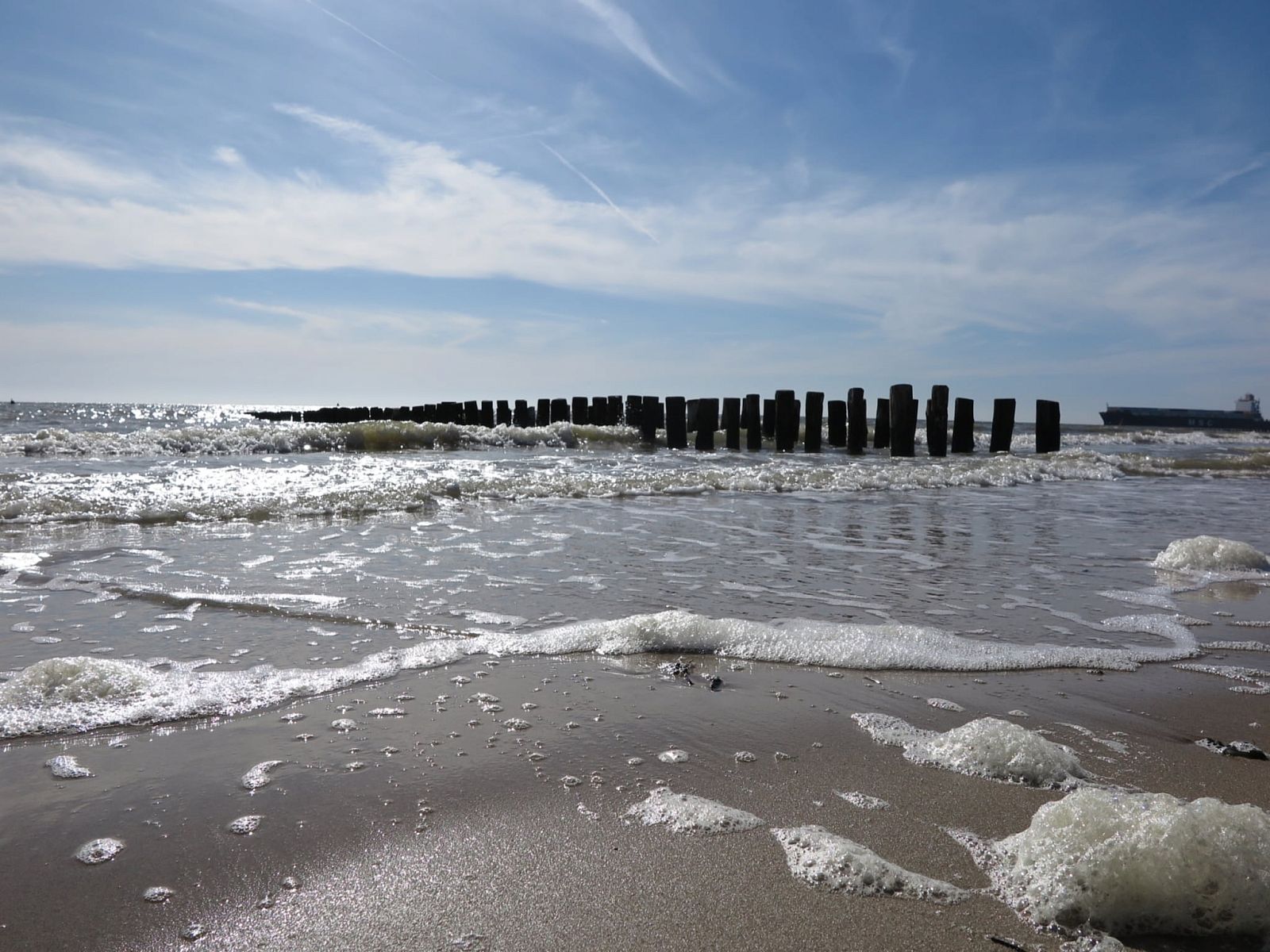 Unterkunft 623035 - Ferienhaus Walcheren - Slaapstrandhuisje - Strand dishoek 60