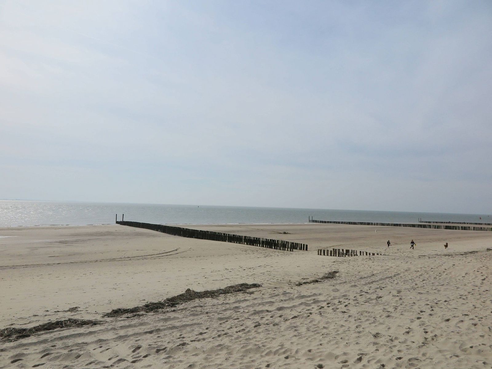 Unterkunft 623035 - Ferienhaus Walcheren - Slaapstrandhuisje - Strand dishoek 60