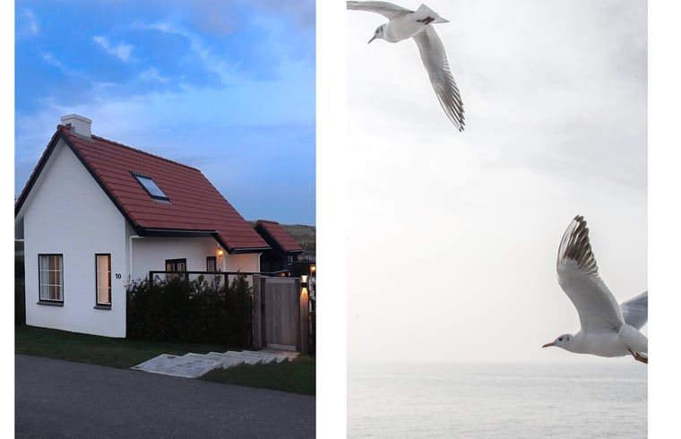 Verblijf 630143 - Vakantiewoning Zeeuws-Vlaanderen - Huisje in Breskens