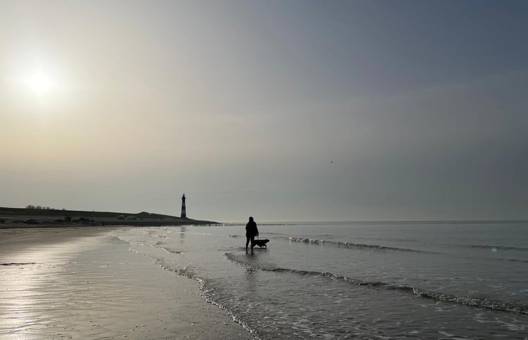 Guest house 630160 - Holiday property Zeeuws-Vlaanderen - Vakantiehuisje in Breskens