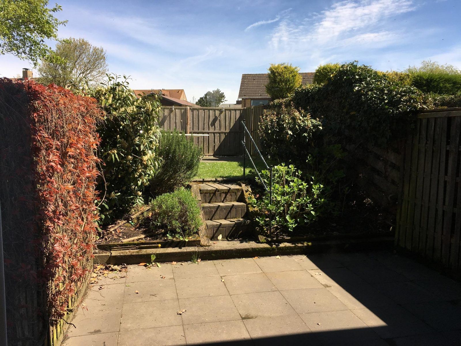 Hinterhof von VZ924 Ferienhaus in Cadzand mit gruener Umgebung in Cadzand-bad, Zeeland.