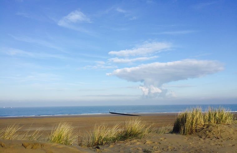 Unterkunft 630709 - Ferienhaus Zeeuws-Vlaanderen - Vakantiehuis in Schoondijke