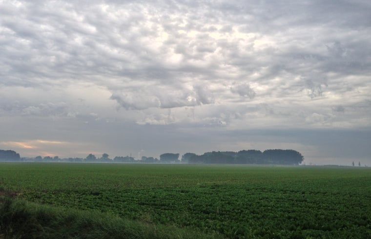 Unterkunft 630709 - Ferienhaus Zeeuws-Vlaanderen - Vakantiehuis in Schoondijke