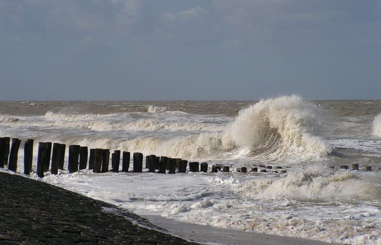 Unterkunft 630709 - Ferienhaus Zeeuws-Vlaanderen - Vakantiehuis in Schoondijke