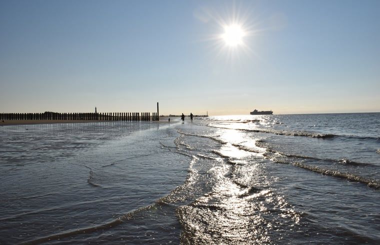 Unterkunft 630709 - Ferienhaus Zeeuws-Vlaanderen - Vakantiehuis in Schoondijke