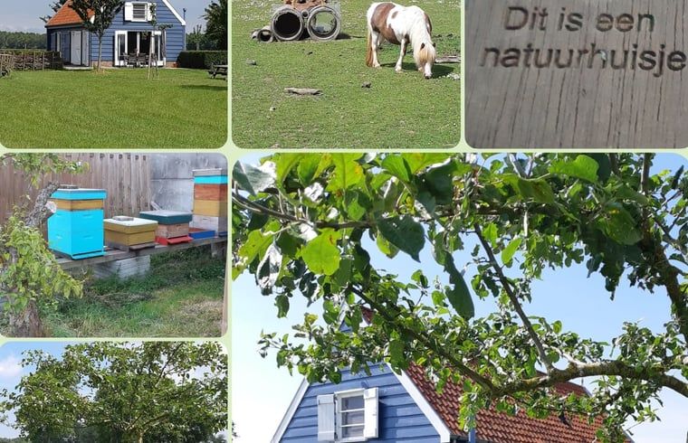 Guest house 631305 - Holiday property Zeeuws-Vlaanderen - Vakantiehuis in Sluis