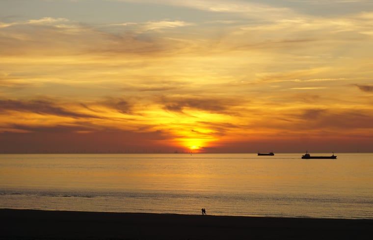 Guest house 631305 - Holiday property Zeeuws-Vlaanderen - Vakantiehuis in Sluis