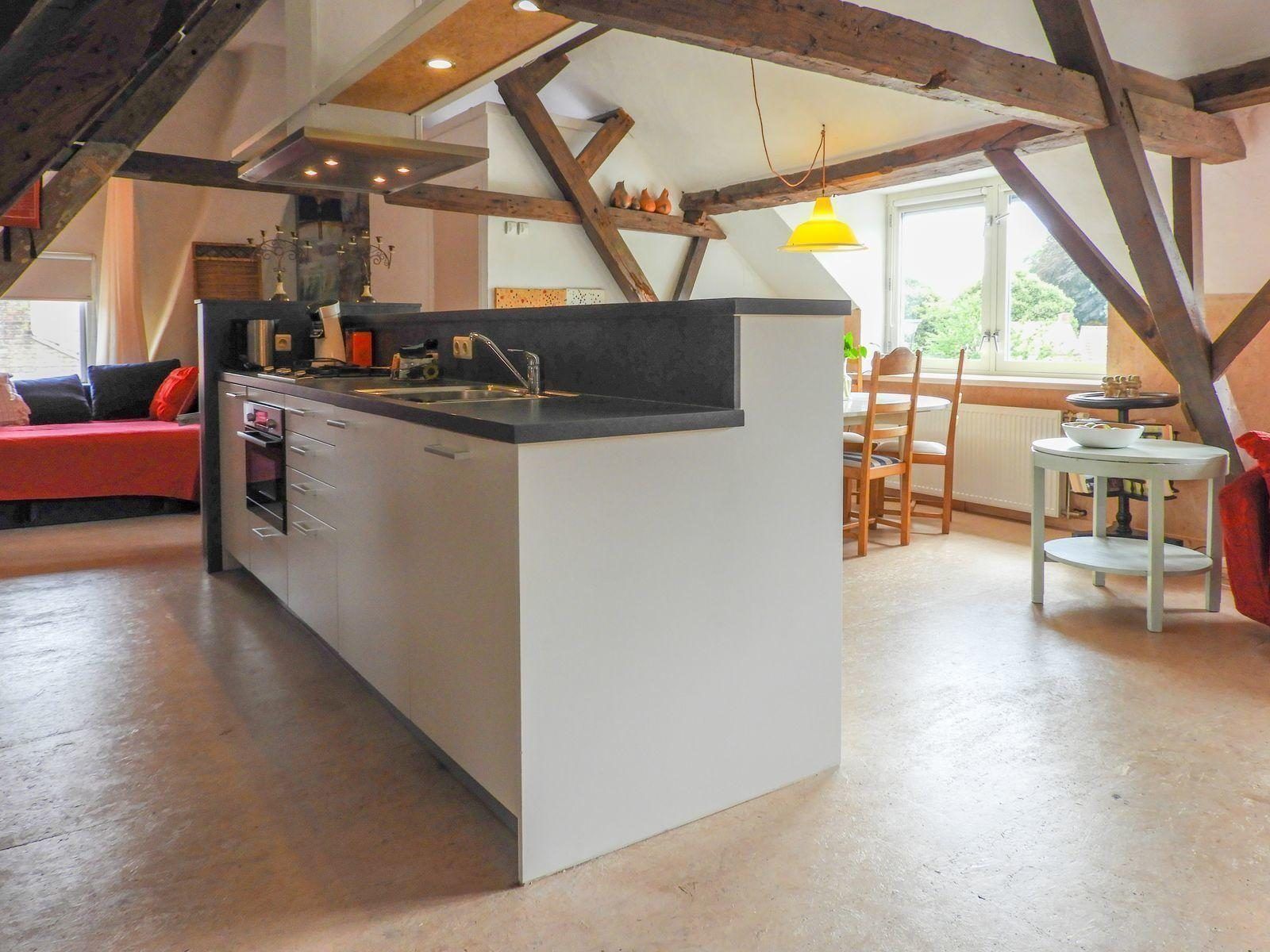 Modern kitchen in VZ052 Apartment Sluis, Sluis, Zeeuws-Vlaanderen with stove and oven.