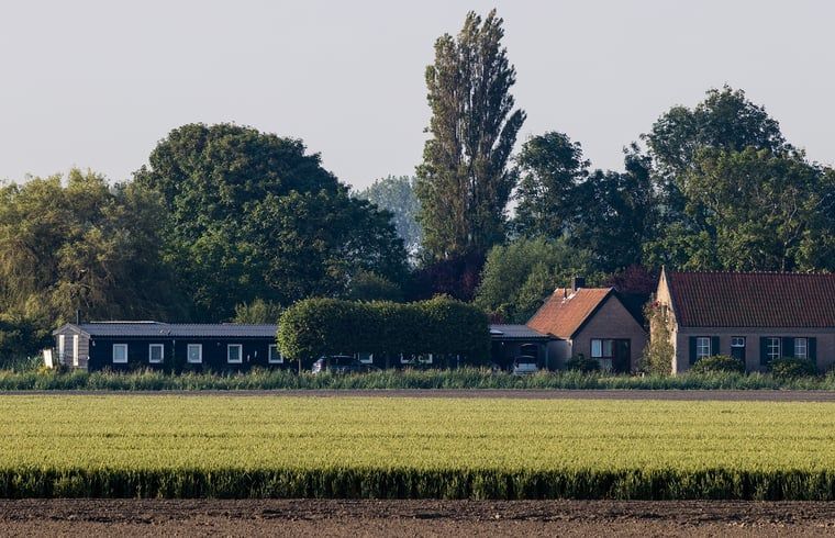 Unterkunft 631609 - Ferienhaus Zeeuws-Vlaanderen - Huisje in Nieuwvliet