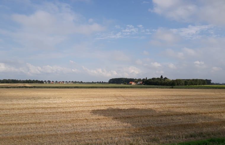 Unterkunft 631609 - Ferienhaus Zeeuws-Vlaanderen - Huisje in Nieuwvliet