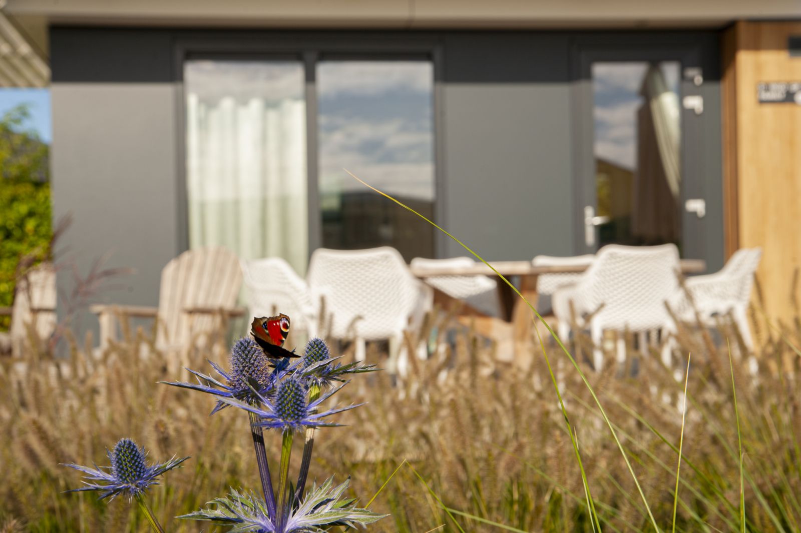 Verblijf 631644 - Vakantiewoning Zeeuws-Vlaanderen - Duin Lodge Family