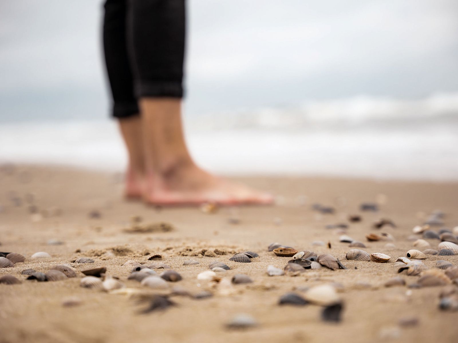 Guest house 631650 - Holiday property Zeeuws-Vlaanderen - Vakantiehuis NV 10 - Beach Resort Nieuwvliet Bad