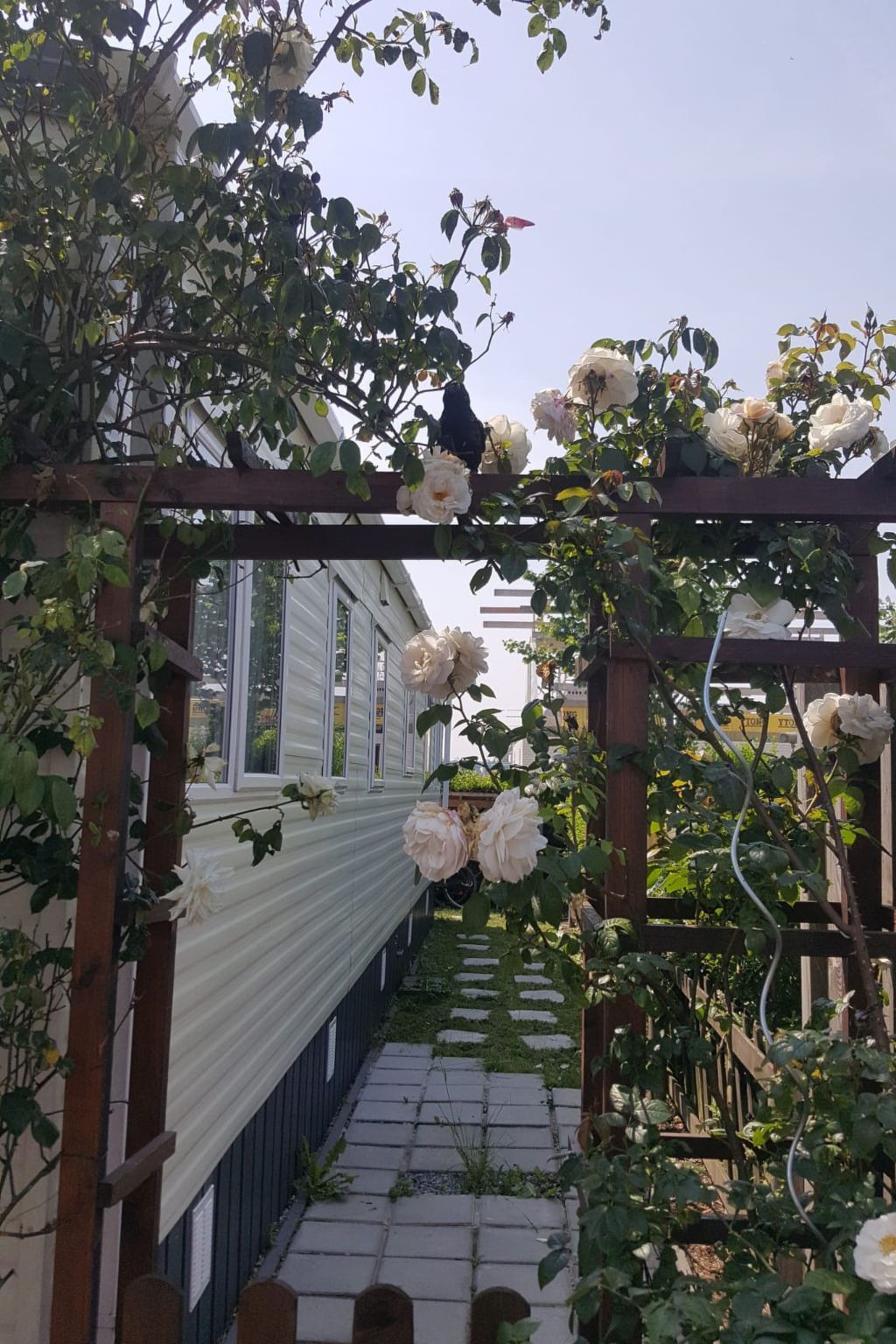 Unterkunft 631651 - Ferienhaus Zeeuws-Vlaanderen - Vakantiehuis NV 102 - Beach Resort Nieuwvliet Bad