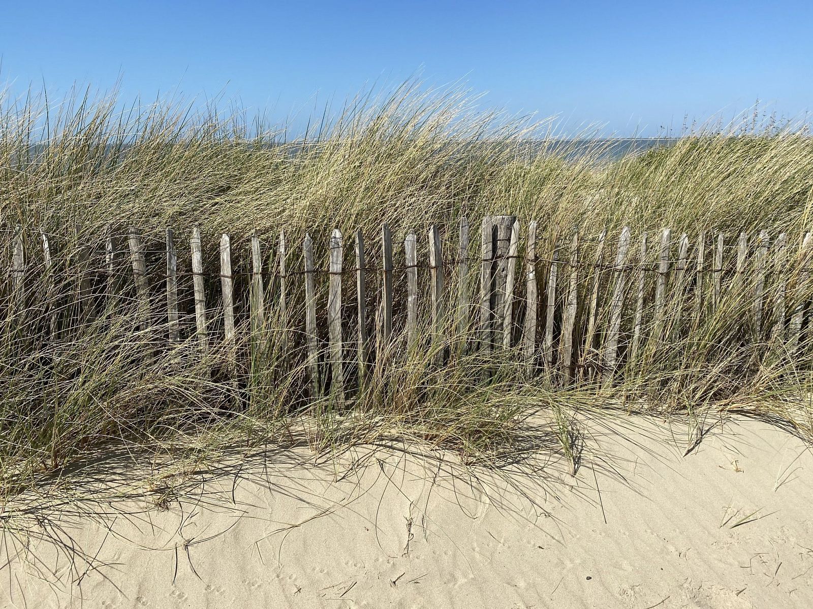 Verblijf 631658 - Vakantiewoning Zeeuws-Vlaanderen - Vakantiehuis Zuidpunt