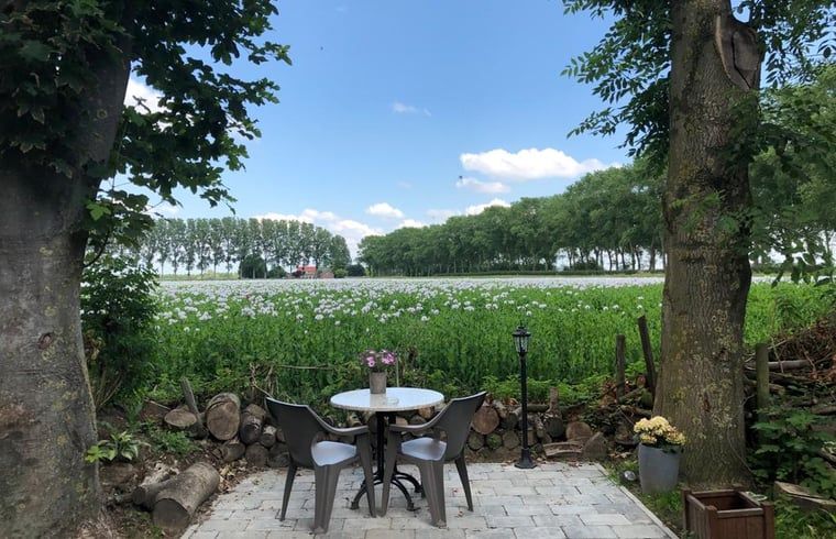 Schoene Aussicht von der Terrasse des Huisje in Axel ueber die Landschaft von Zeeland.