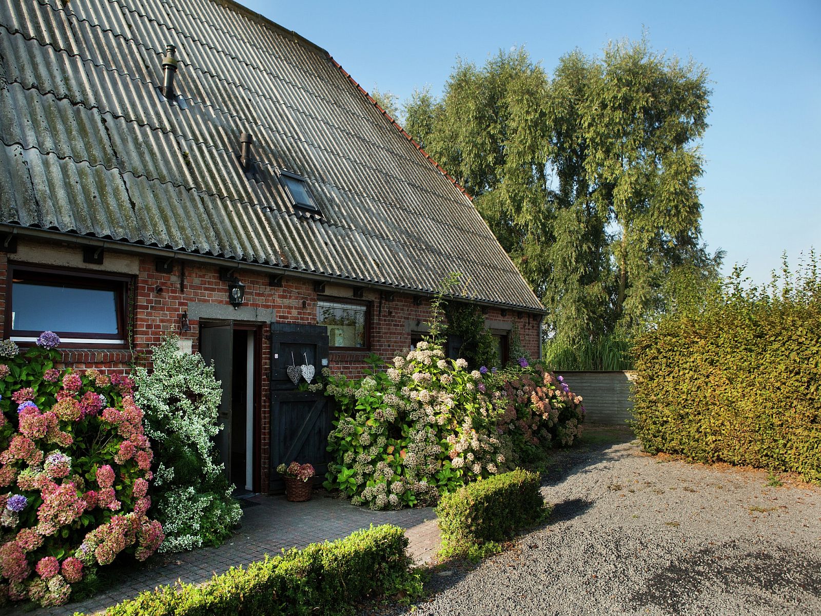 Guest house 631808 - Holiday property Zeeuws-Vlaanderen - Biezenpolder
