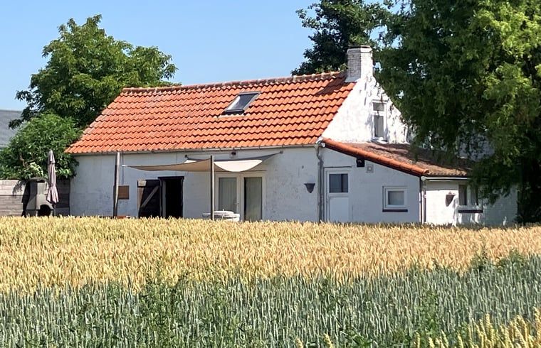 Rustiek vakantiehuis in Walsoorden, omgeven door Zeeuws-Vlaamse natuur, ideaal voor een rustige vakantie.