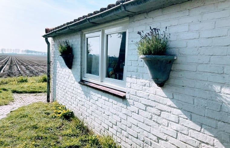 Landelijk uitzicht vanuit Vakantiehuis in Walsoorden, Zeeuws-Vlaanderen, perfect voor natuurliefhebbers.