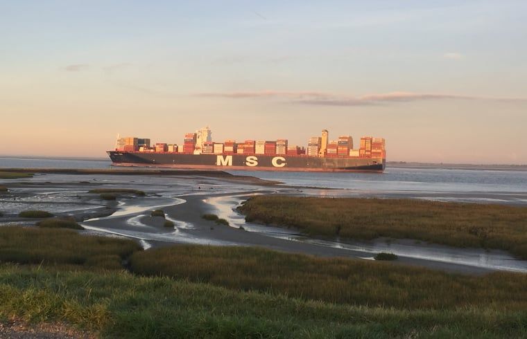 Schoener Meerblick im Ferienhaus in Walsoorden, Zeeuws-Vlaanderen, Zeeland.