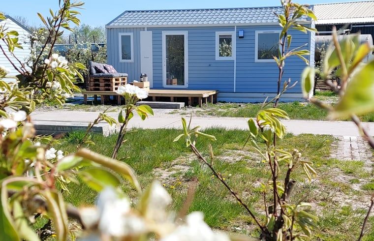 Vakantiehuisje in Hengstdijk, een charmante vakantiewoning in Zeeuws-Vlaanderen met een uitnodigend terras en groene omgeving.