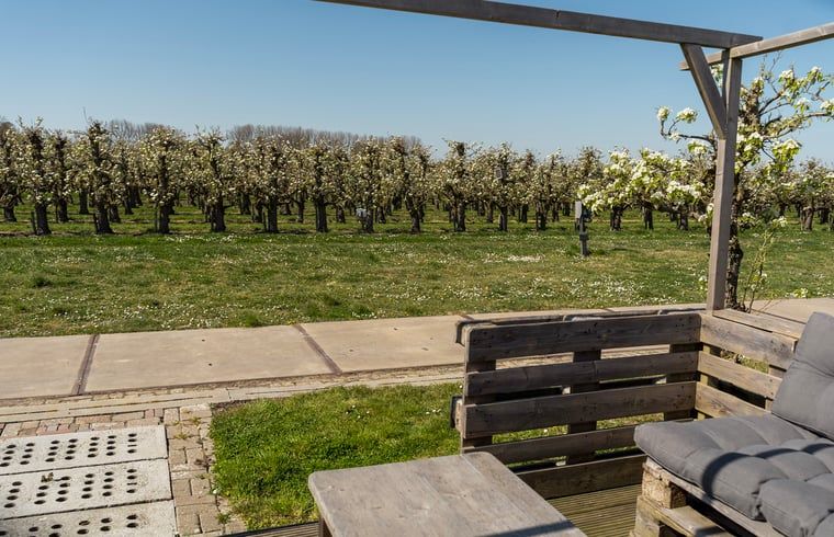 Verblijf 632112 - Vakantiewoning Zeeuws-Vlaanderen - Vakantiehuisje in Hengstdijk