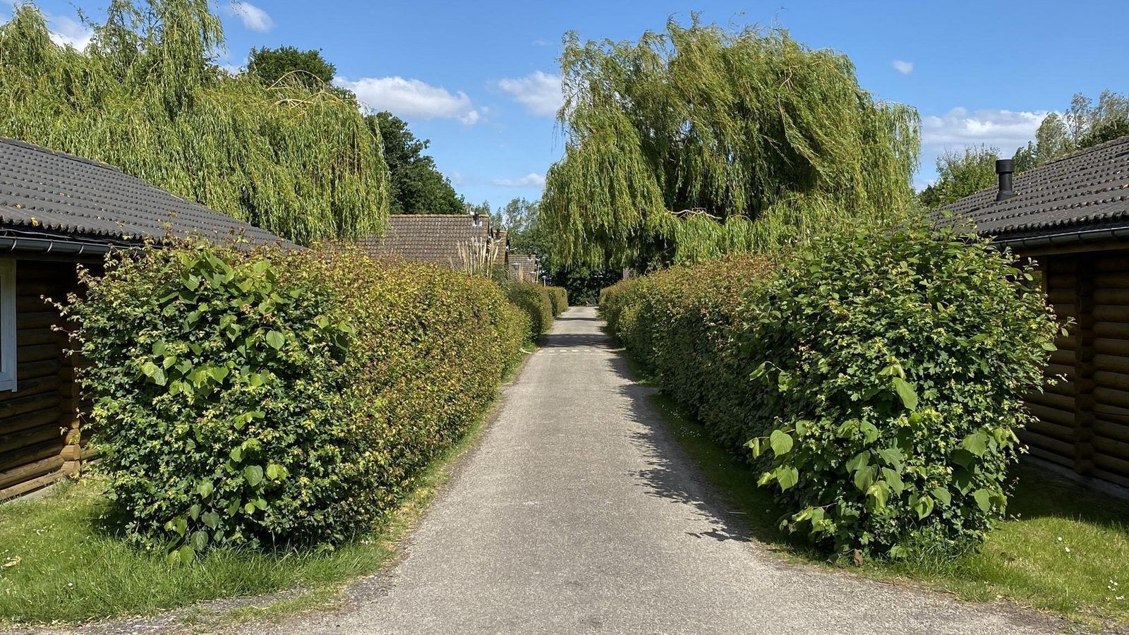 Guest house 632209 - Holiday property Zeeuws-Vlaanderen - VZ852 Vakantiechalet in Ossenisse