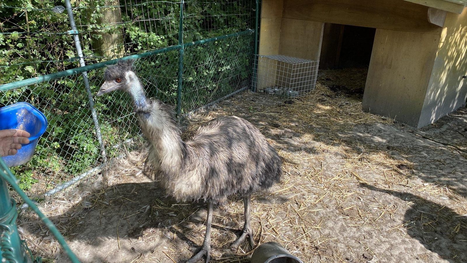 Guest house 632209 - Holiday property Zeeuws-Vlaanderen - VZ852 Vakantiechalet in Ossenisse