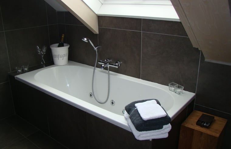 Guest house 632609 - Holiday property Zeeuws-Vlaanderen - Vakantiehuis in Zuidzande