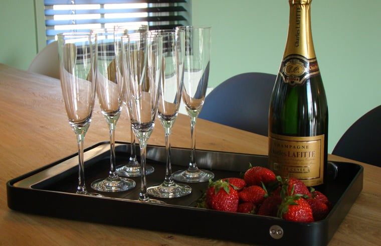 Guest house 632609 - Holiday property Zeeuws-Vlaanderen - Vakantiehuis in Zuidzande