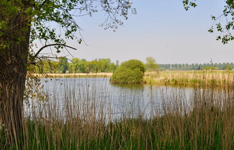 Verblijf 633003 - Vakantiewoning Zeeuws-Vlaanderen - Vakantiehuisje in Hulst