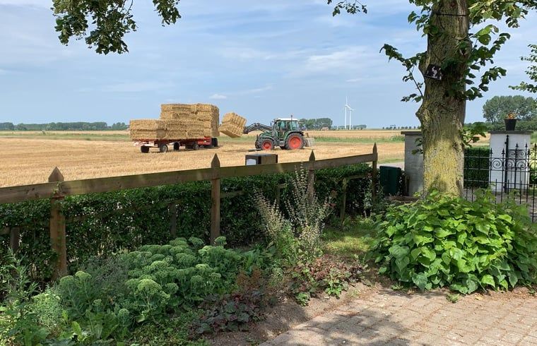 Tractor op het veld naast Vakantiehuisje in IJzendijke, Zeeuws-Vlaanderen, Zeeland.