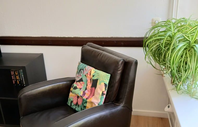 Stijlvolle zithoek in Vakantiehuisje in IJzendijke, Zeeuws-Vlaanderen.